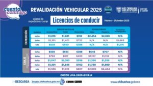 LICENCIASCOSTOS2025-300x169.jpeg