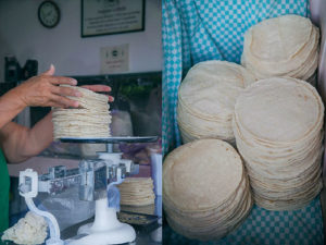 tortillas_maizvv-300x225.jpg