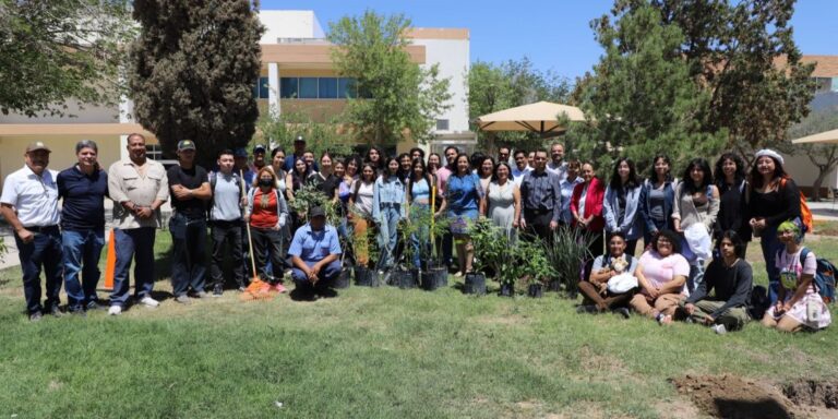 REFORESTACION-DE-ICB1-1140x570.jpg